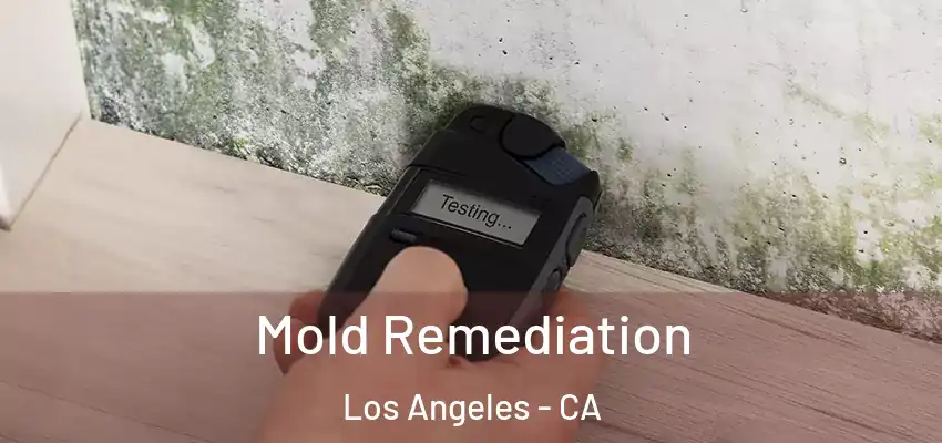  Mold Remediation Los Angeles - CA