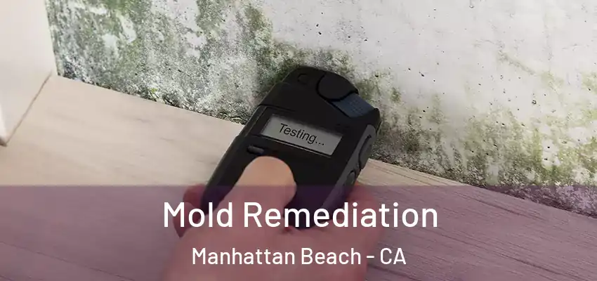  Mold Remediation Manhattan Beach - CA