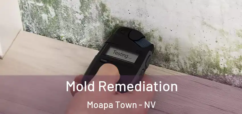  Mold Remediation Moapa Town - NV