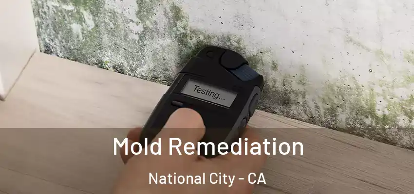 Mold Remediation National City - CA
