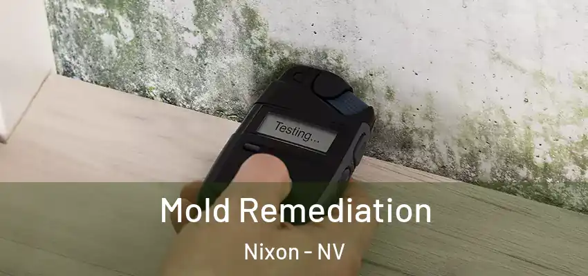  Mold Remediation Nixon - NV