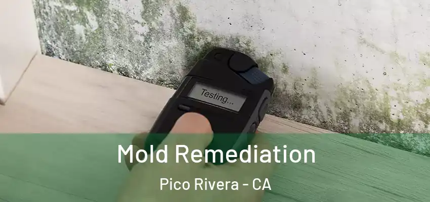  Mold Remediation Pico Rivera - CA