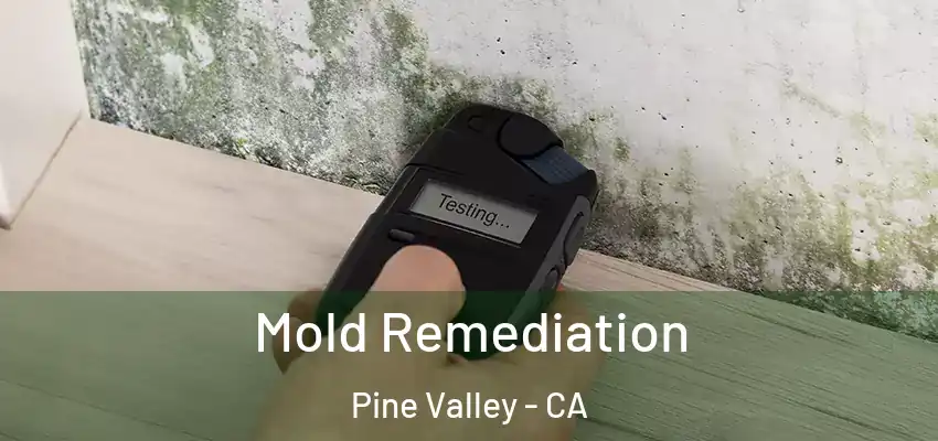 Mold Remediation Pine Valley - CA