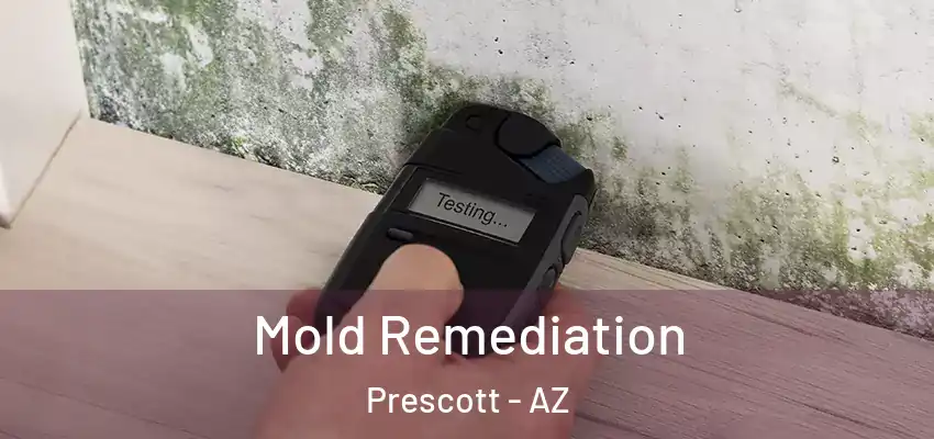  Mold Remediation Prescott - AZ