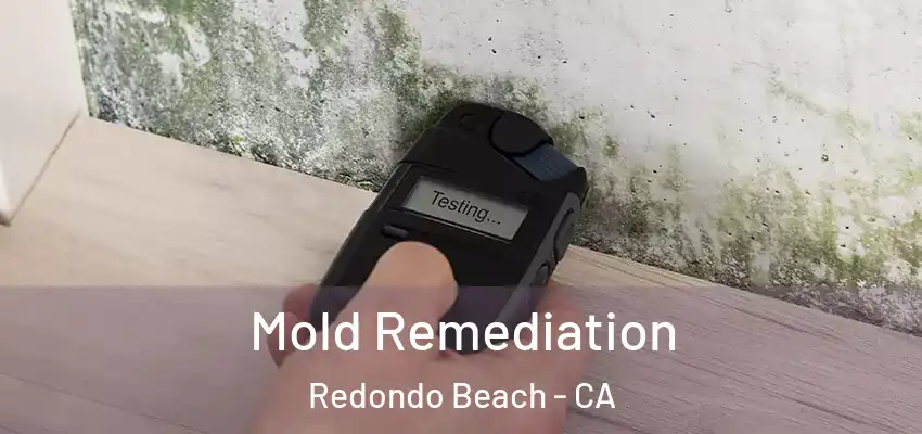 Mold Remediation Redondo Beach - CA