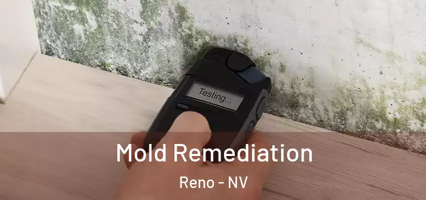 Mold Remediation Reno - NV