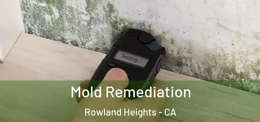  Mold Remediation Rowland Heights - CA