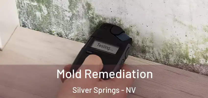  Mold Remediation Silver Springs - NV
