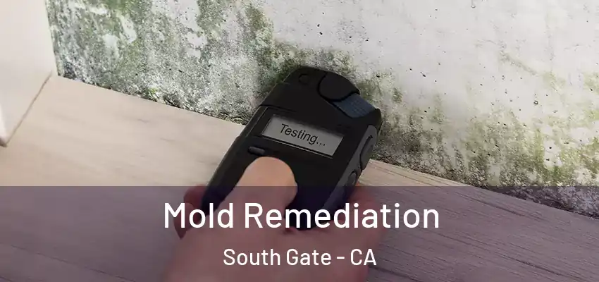  Mold Remediation South Gate - CA