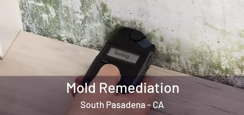  Mold Remediation South Pasadena - CA
