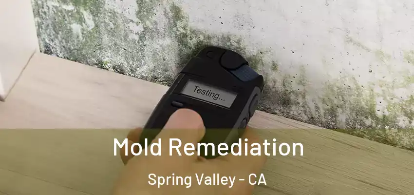  Mold Remediation Spring Valley - CA