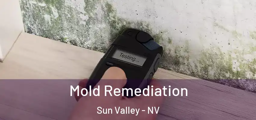  Mold Remediation Sun Valley - NV