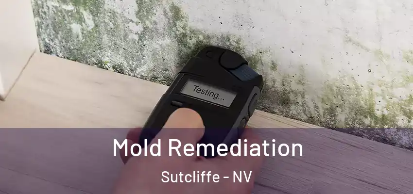Mold Remediation Sutcliffe - NV