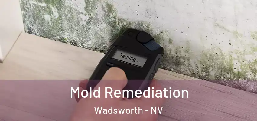  Mold Remediation Wadsworth - NV