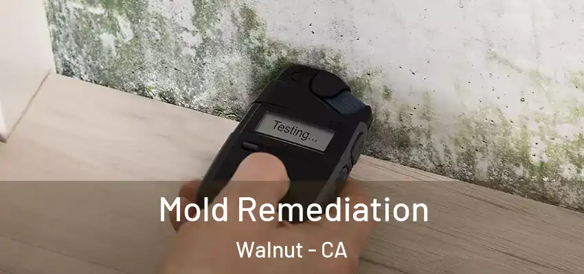 Mold Remediation Walnut - CA