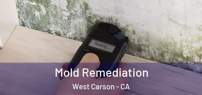  Mold Remediation West Carson - CA
