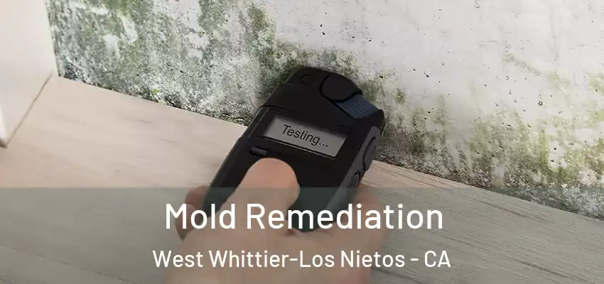 Mold Remediation West Whittier-Los Nietos - CA