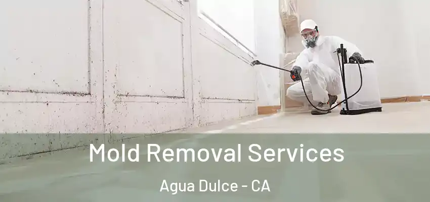 Mold Removal Services Agua Dulce - CA