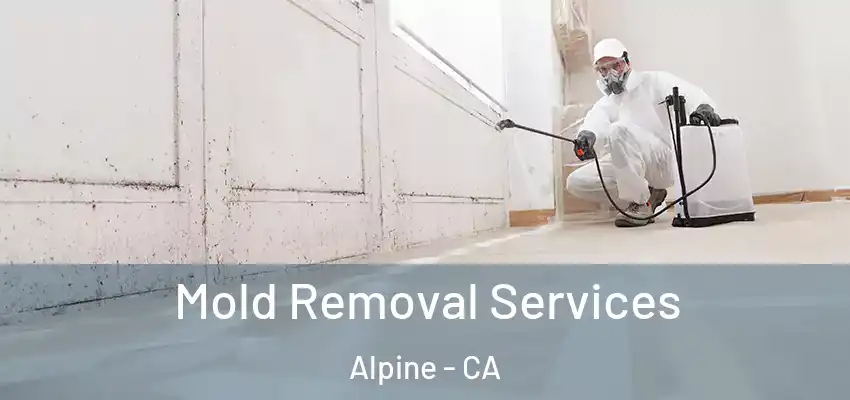  Mold Removal Services Alpine - CA