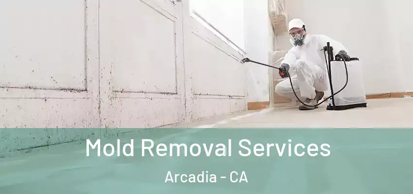  Mold Removal Services Arcadia - CA