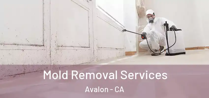  Mold Removal Services Avalon - CA