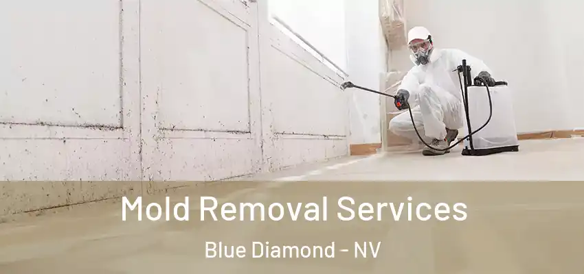  Mold Removal Services Blue Diamond - NV