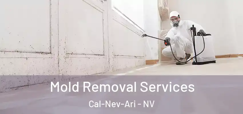 Mold Removal Services Cal-Nev-Ari - NV