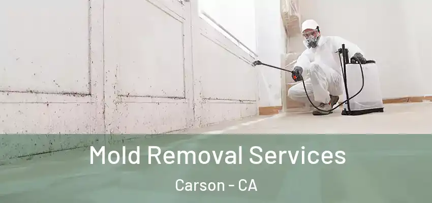  Mold Removal Services Carson - CA