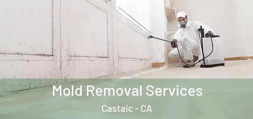  Mold Removal Services Castaic - CA