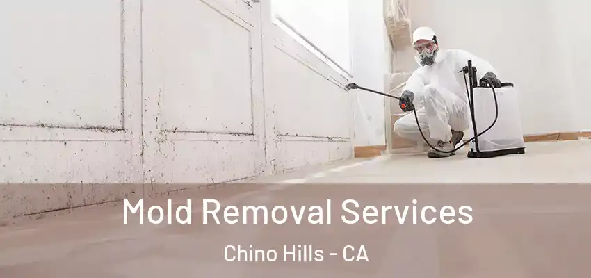  Mold Removal Services Chino Hills - CA