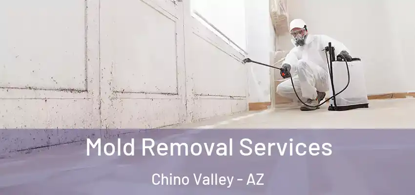  Mold Removal Services Chino Valley - AZ