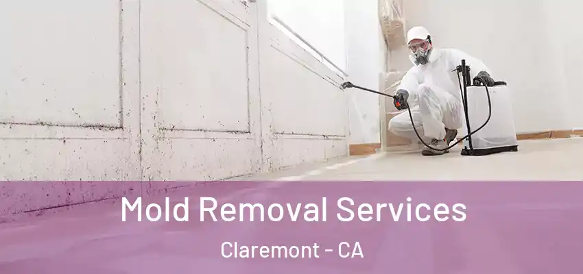  Mold Removal Services Claremont - CA
