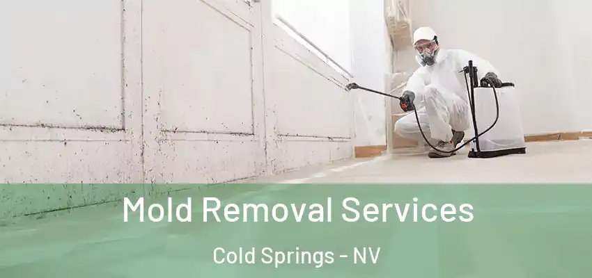  Mold Removal Services Cold Springs - NV