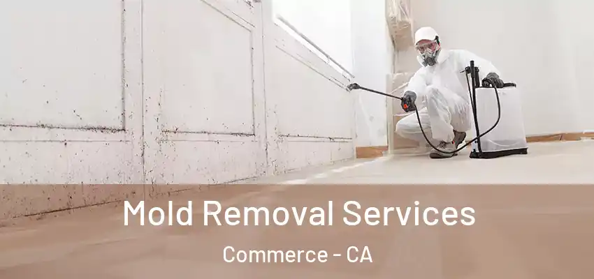  Mold Removal Services Commerce - CA