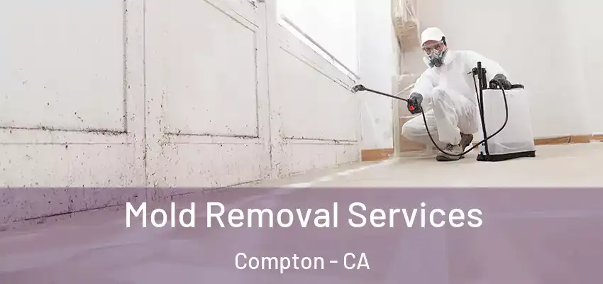  Mold Removal Services Compton - CA