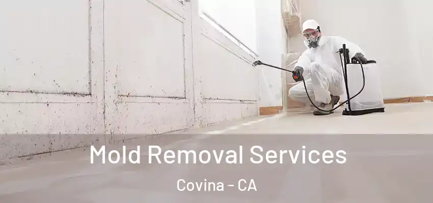  Mold Removal Services Covina - CA