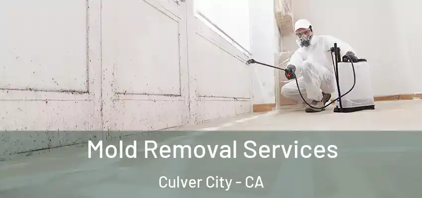  Mold Removal Services Culver City - CA