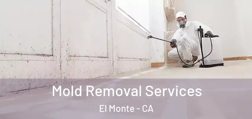 Mold Removal Services El Monte - CA