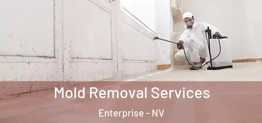  Mold Removal Services Enterprise - NV