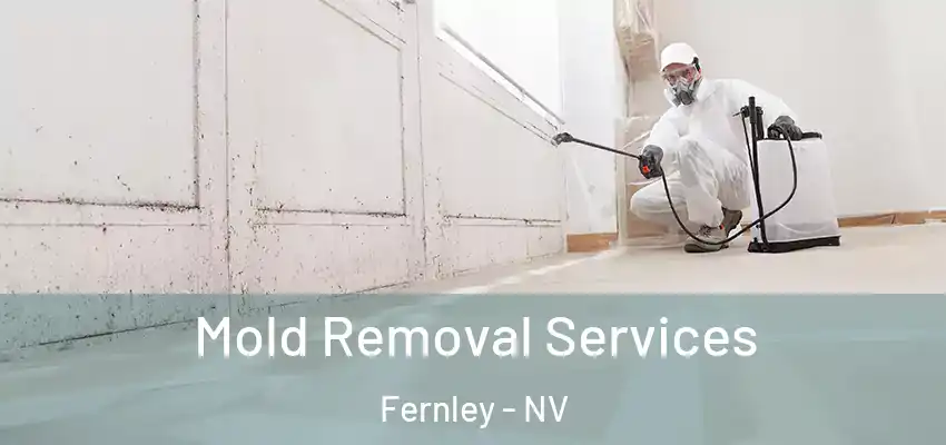  Mold Removal Services Fernley - NV
