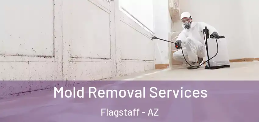 Mold Removal Services Flagstaff - AZ