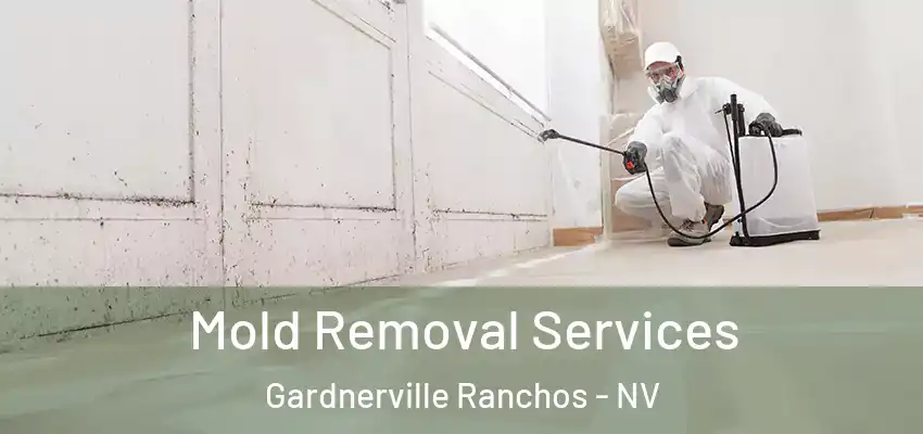  Mold Removal Services Gardnerville Ranchos - NV