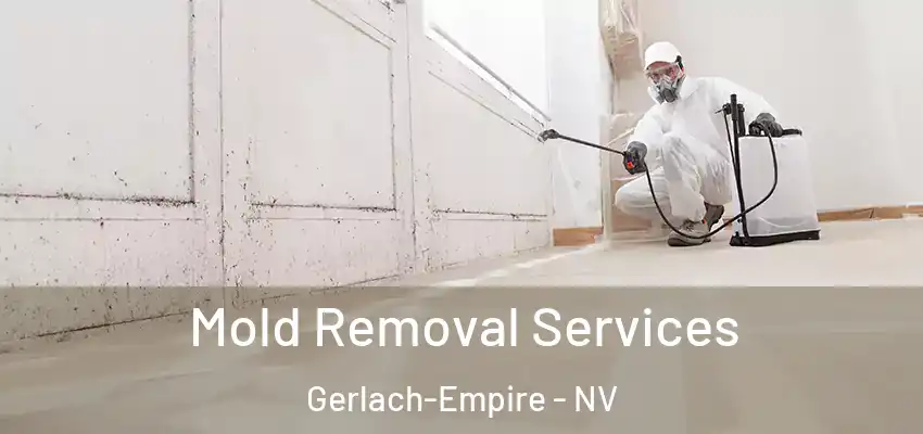  Mold Removal Services Gerlach-Empire - NV