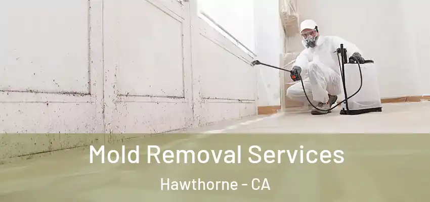  Mold Removal Services Hawthorne - CA