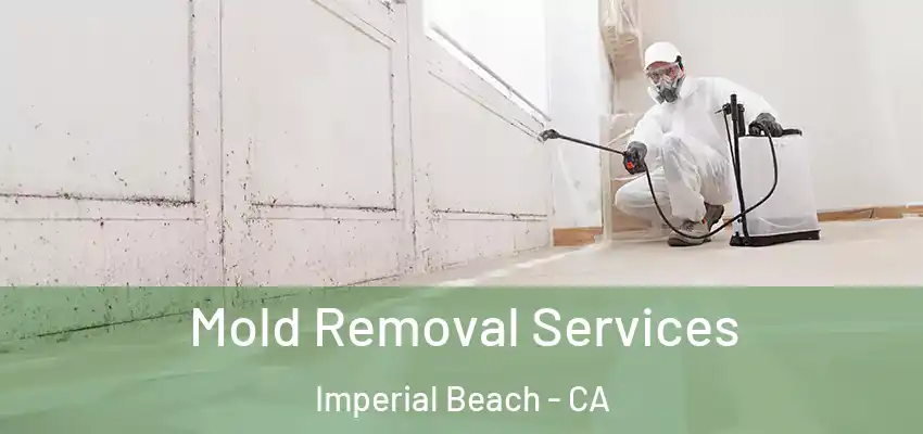  Mold Removal Services Imperial Beach - CA
