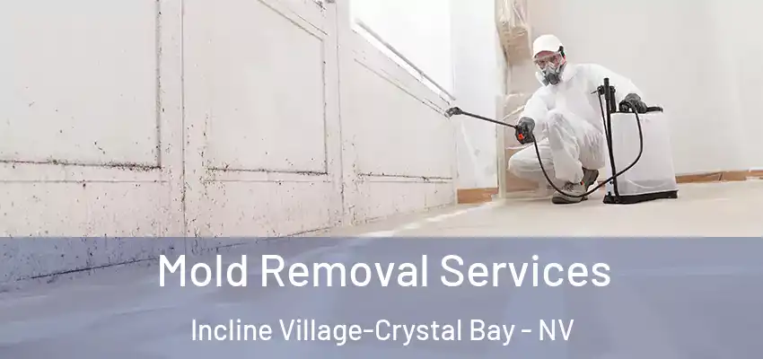  Mold Removal Services Incline Village-Crystal Bay - NV