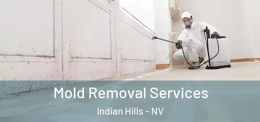  Mold Removal Services Indian Hills - NV