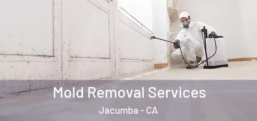 Mold Removal Services Jacumba - CA