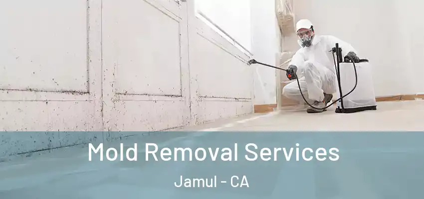  Mold Removal Services Jamul - CA