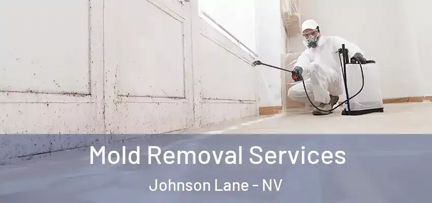  Mold Removal Services Johnson Lane - NV